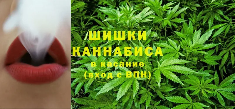 купить наркотик  Злынка  Канабис Bruce Banner 